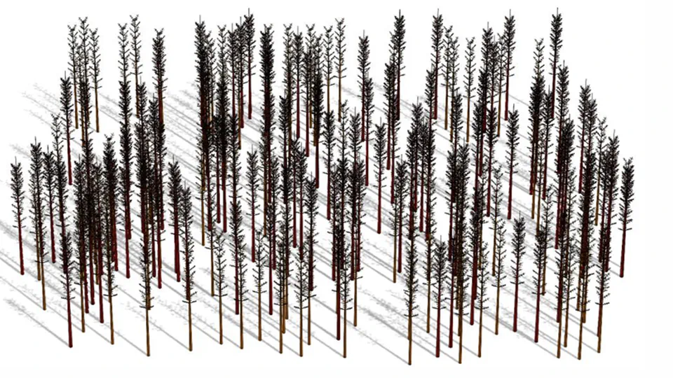 Full-wave Simulations of Forest at L-band with Fast Hybrid Multiple Scattering Theory Method and Comparison with GNSS Signals
