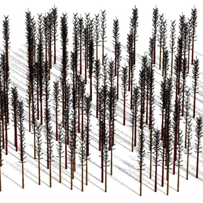 Full-wave Simulations of Forest at L-band with Fast Hybrid Multiple Scattering Theory Method and Comparison with GNSS Signals